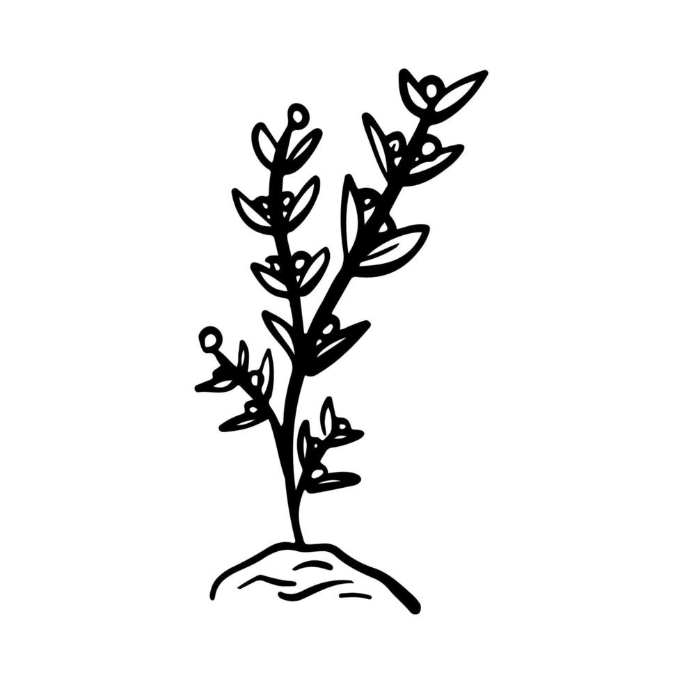 doodle main dessinée plante botanique vecteur contour icône illustration