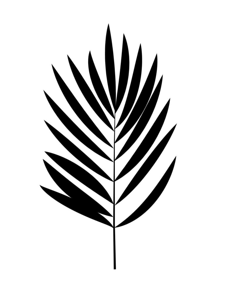 illustration vectorielle de feuille de palmier silhouette noire vecteur