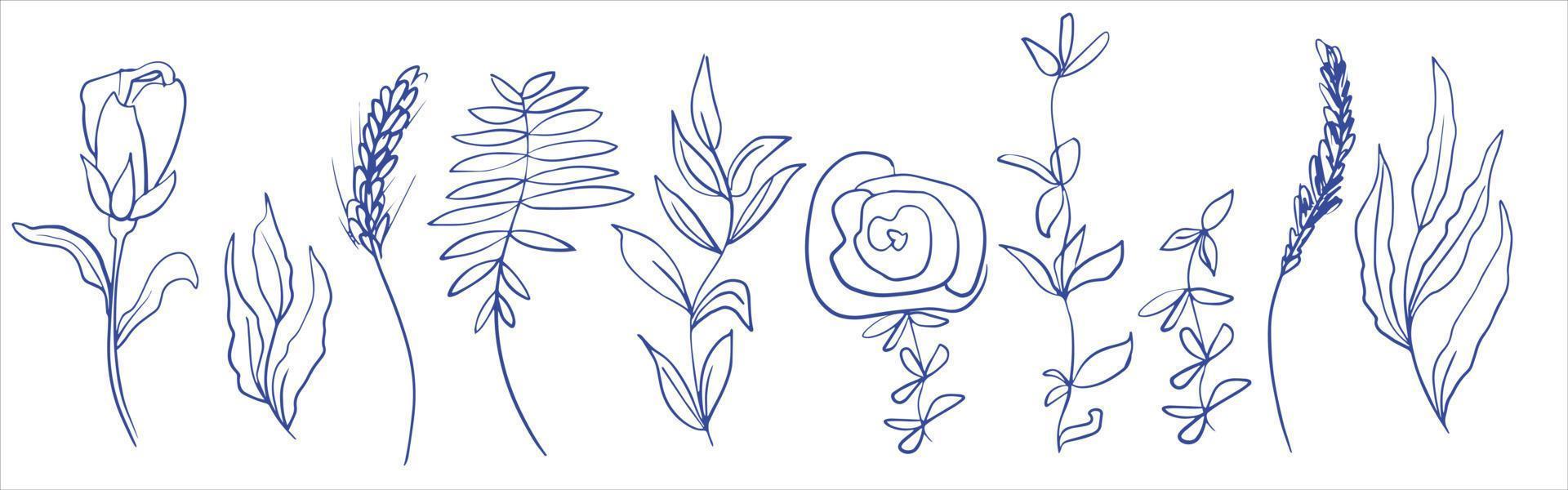 éléments botaniques abstraits pour la conception. herbe des champs et fleurs. branches avec feuilles, roses et pivoines. minimalisme. dessin linéaire vecteur