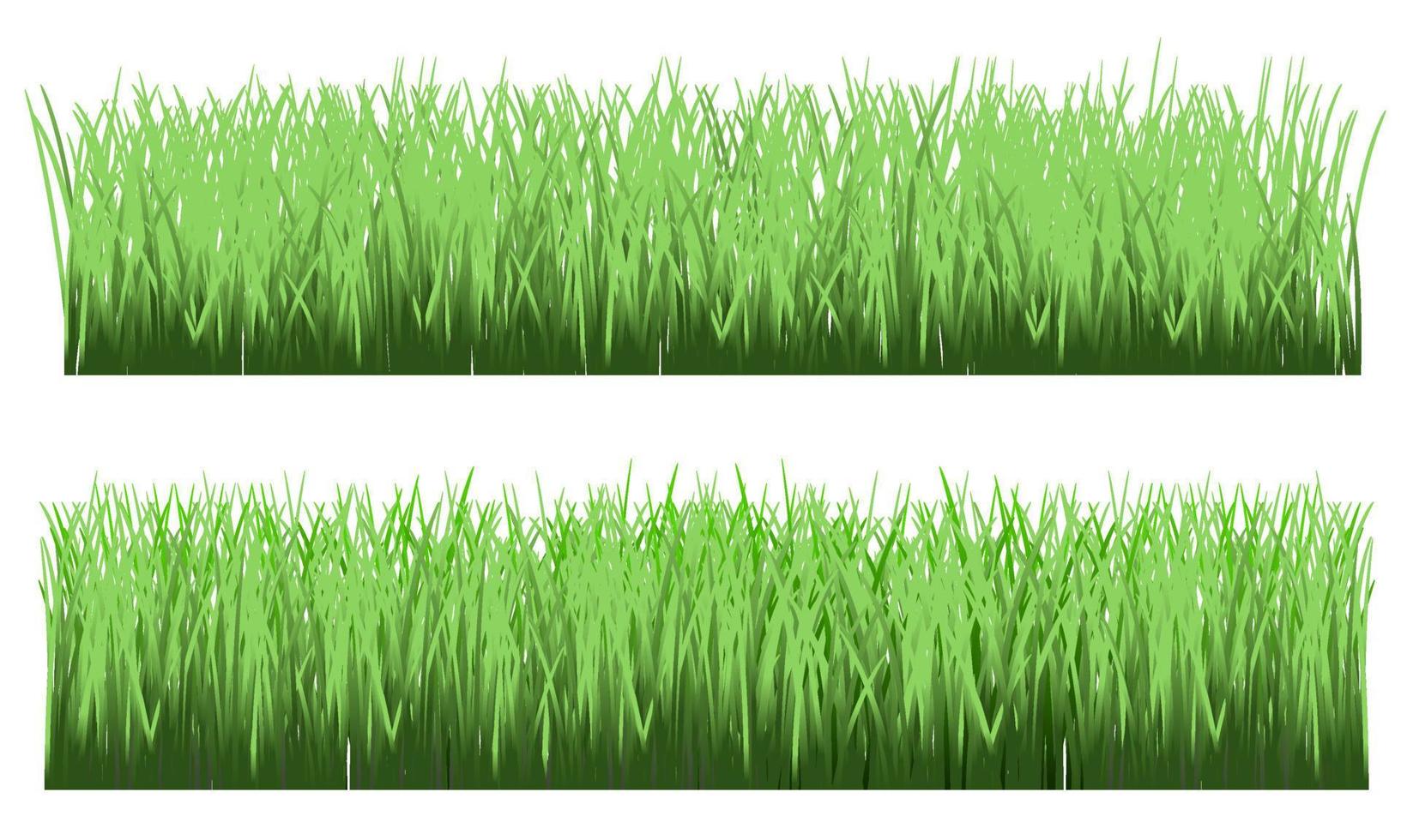 herbe verte, prairie, herbe réaliste. fond herbeux vecteur