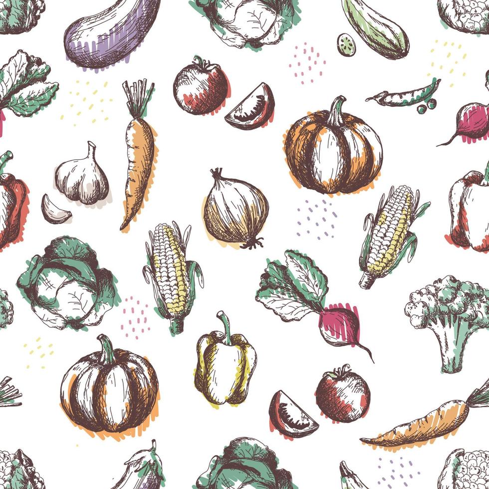 modèle sans couture de légumes. dessiner à la main des légumes vintage. modèle sans couture de nourriture saine. esquisser des aliments végétariens sains. récolte. vecteur