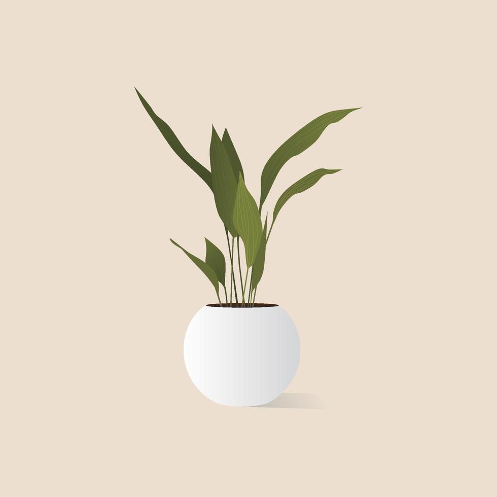 illustration d'une plante dans un pot blanc rond vecteur