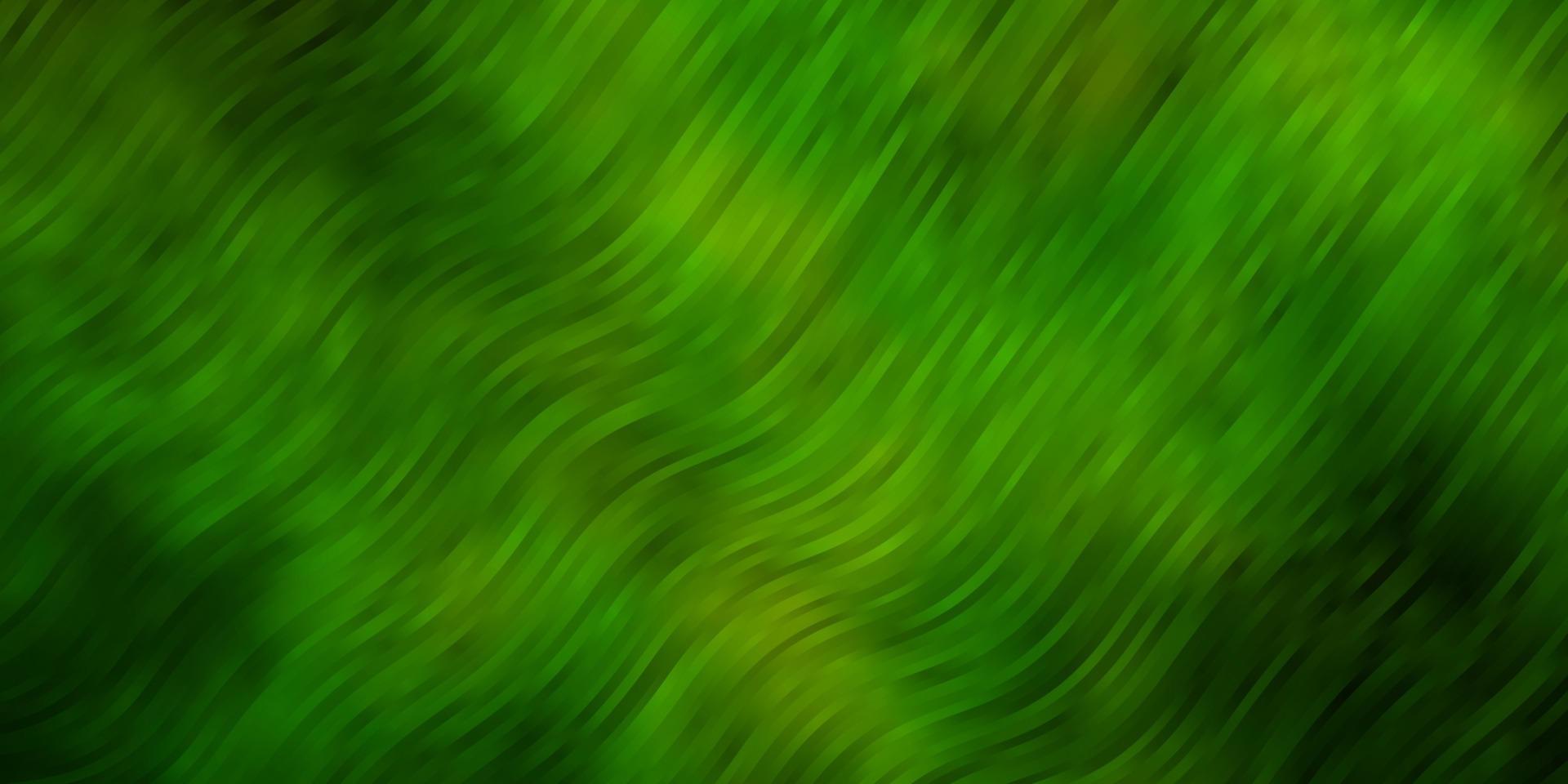 texture de vecteur vert clair, jaune avec arc circulaire.