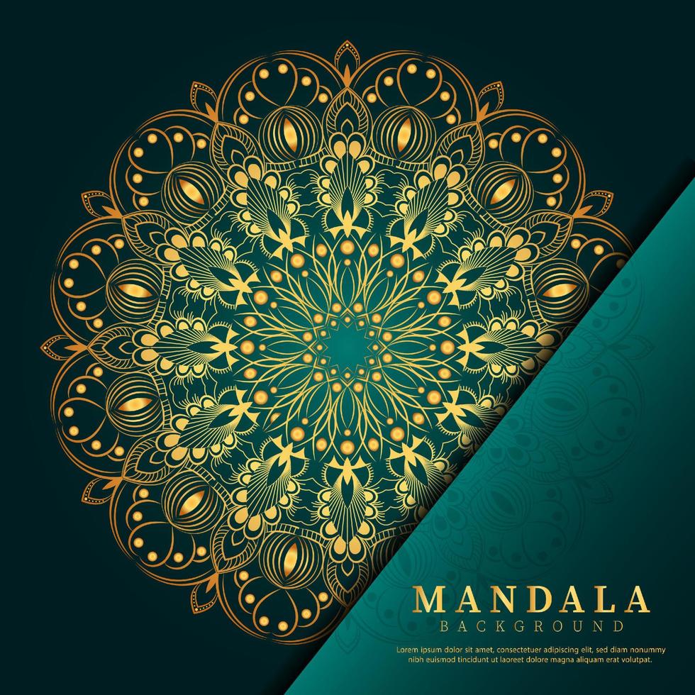 fond de mandala ornemental de luxe ethnique élégant vecteur