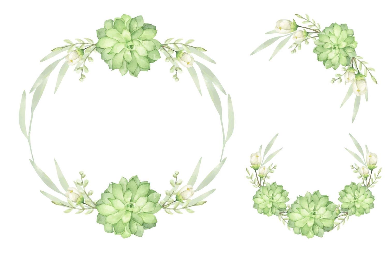 grappes florales. bouquets succulents. illustration aquarelle. vecteur