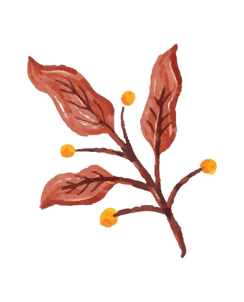 illustration de branche et de feuille d'automne avec un style aquarelle vecteur