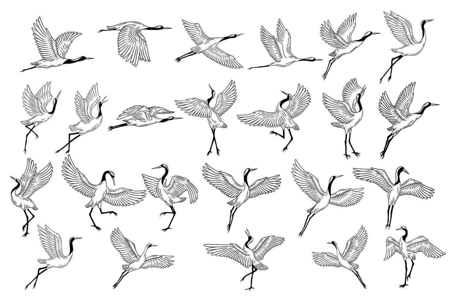ensemble méga collection bundle cigogne oiseau volant tropical dessin animé oiseaux sauvages grues dessinés à la main vecteur