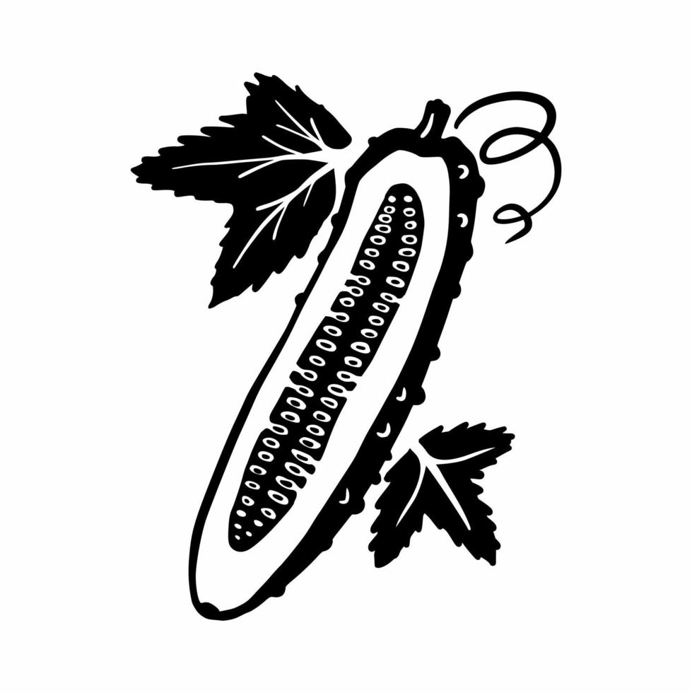 un concombre dessiné à la main. griffonnages vecteur