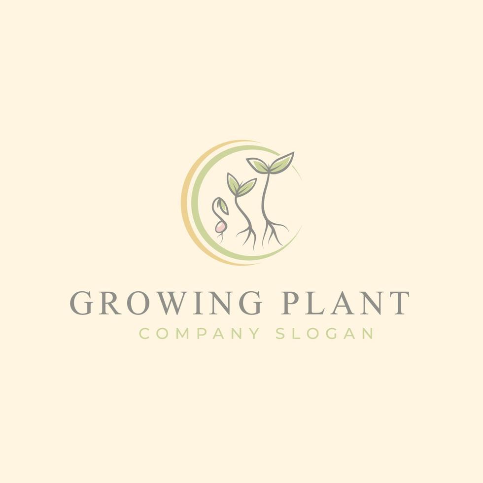logo de processus de croissance des plantes vecteur