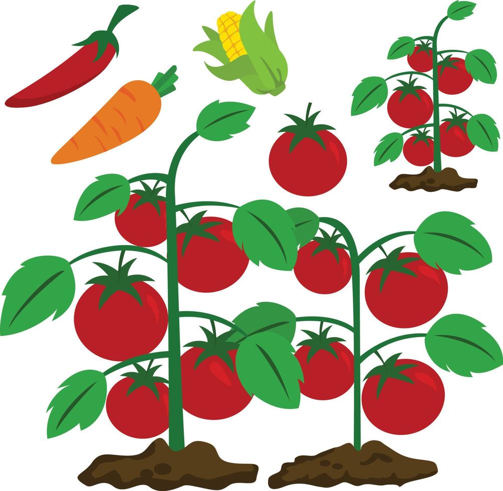 ferme de fruits et légumes vecteur