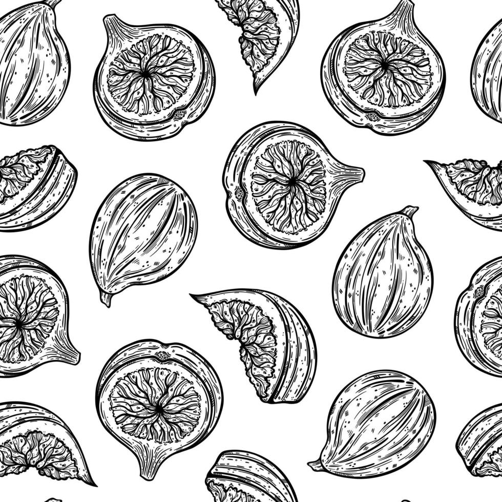 modèle vectorielle continue de figues. fruits de jardin mûrs entiers, moitié, tranche. croquis de dessert d'été avec pulpe juteuse, graines. contour monochrome de plante végétarienne. fond botanique dessiné à la main vecteur