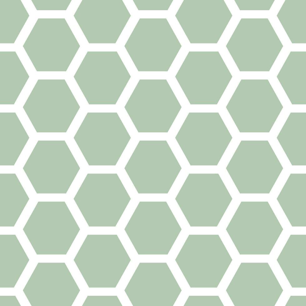fond transparent avec motif géométrique en nid d'abeille ou hexagone blanc vert clair vecteur