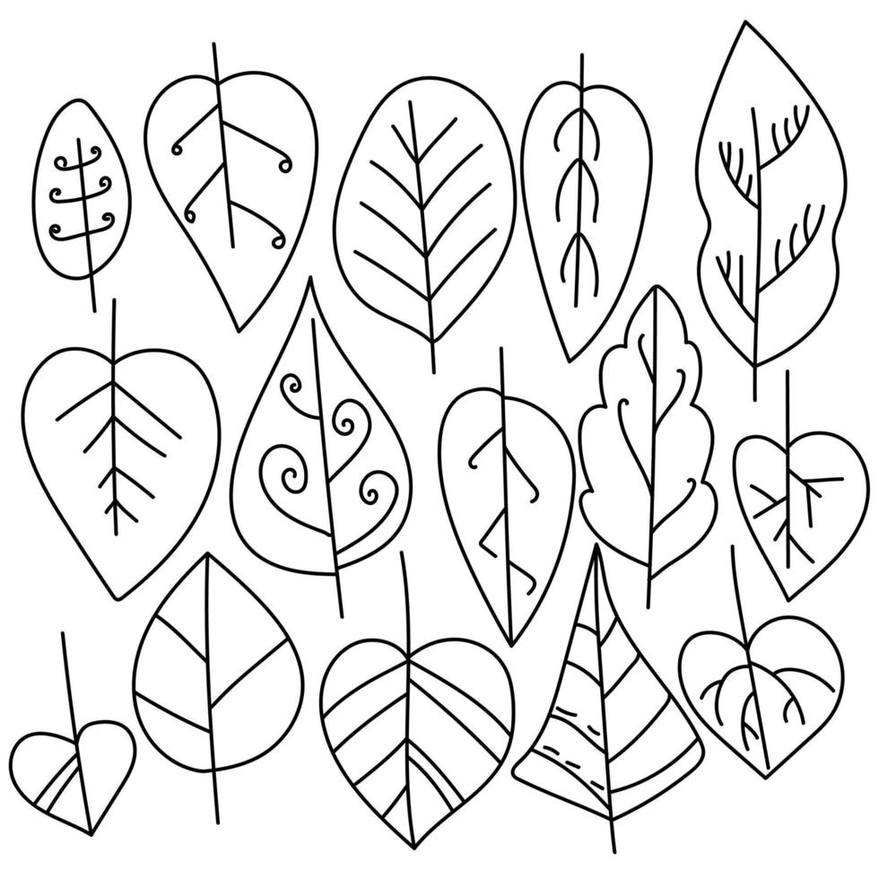 ensemble de feuilles de contour avec des motifs linéaires et des boucles, coloriage sur le thème de l'automne, doodle d'automne vecteur