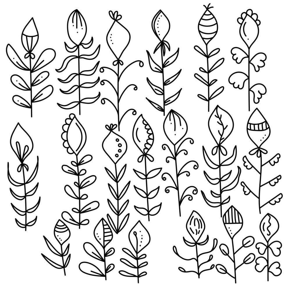 ensemble de plantes de griffonnage avec des sommets ovales allongés aux extrémités pointues, des fleurs stylisées aux feuilles ornées vecteur
