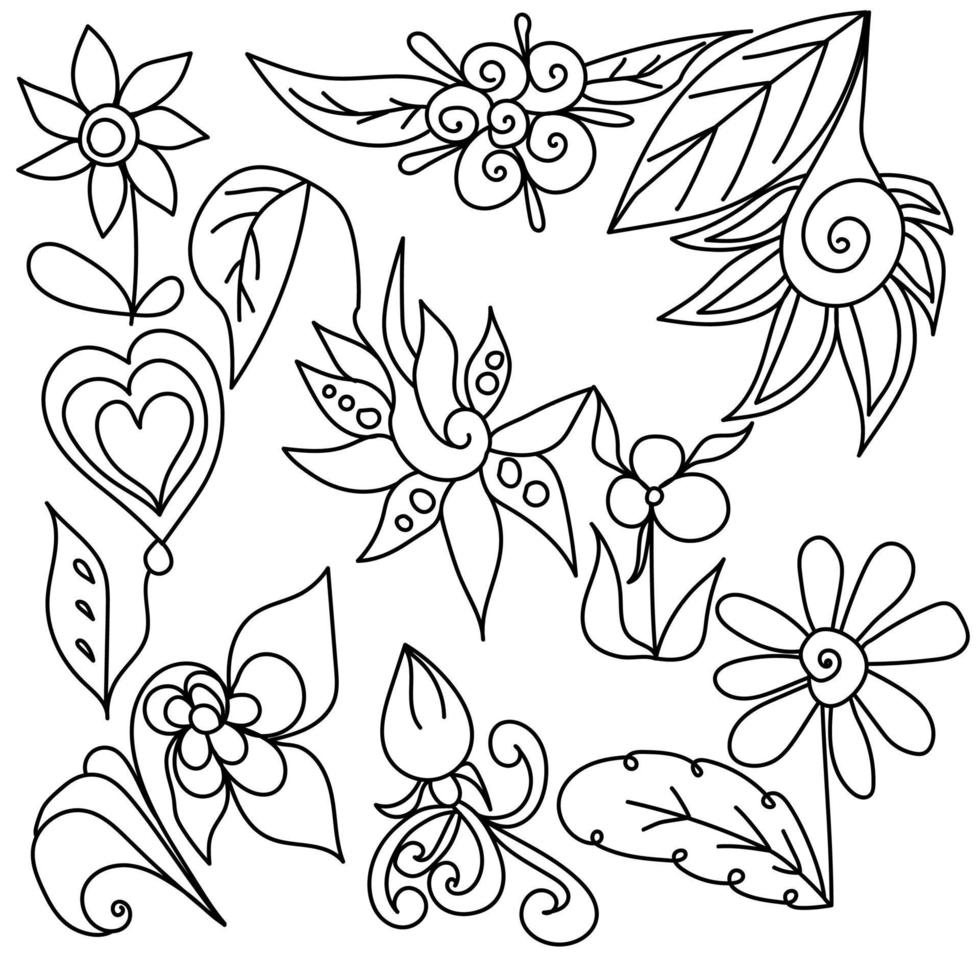 fantaisie doodle fleurs et motifs végétaux, éléments de coloration antistress dans un style naturaliste vecteur