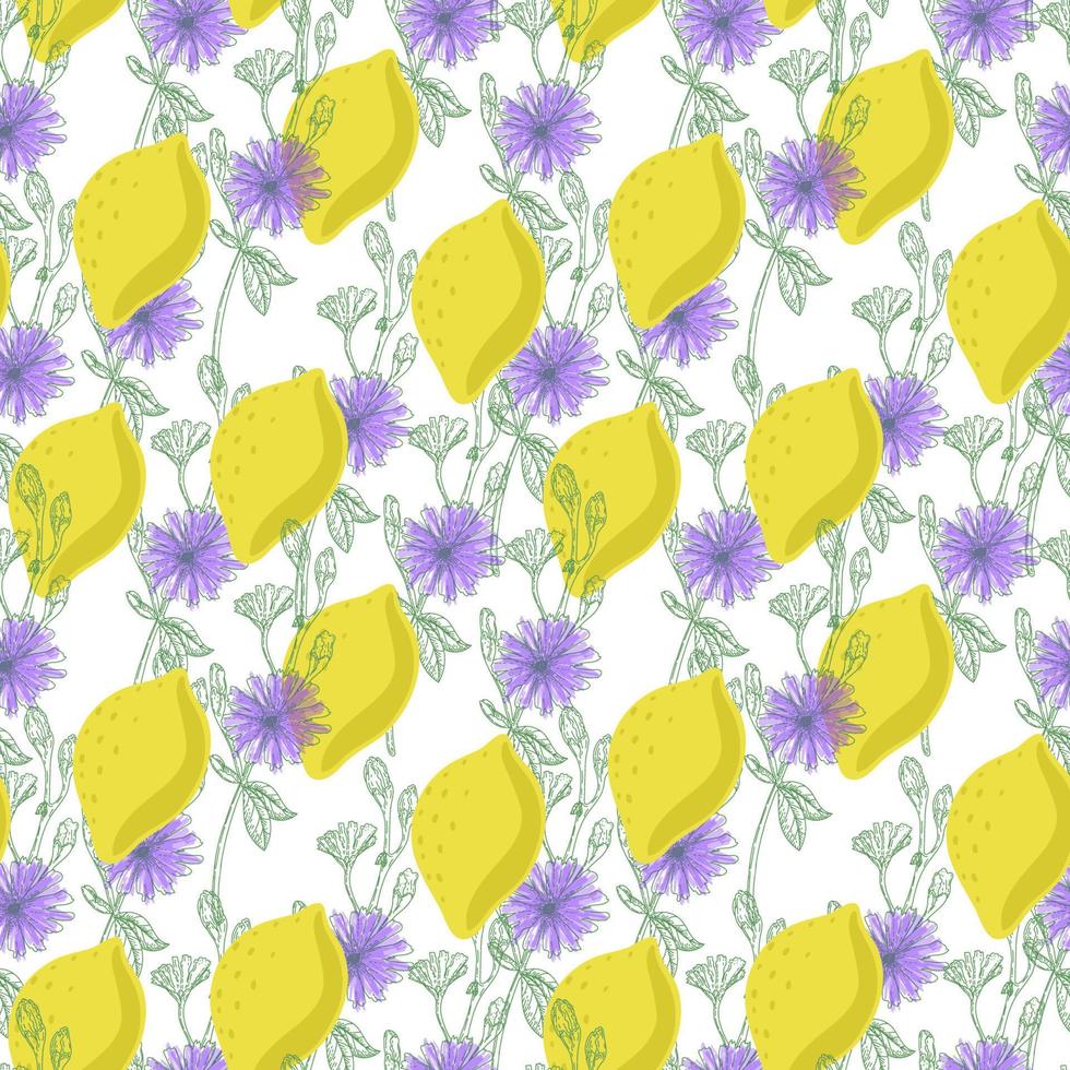 un motif harmonieux de citrons et de fleurs de chicorée, éléments de griffonnage dessinés dans un style de croquis. fleurs violettes lumineuses et fruits de citron sur fond blanc. chicorée vecteur