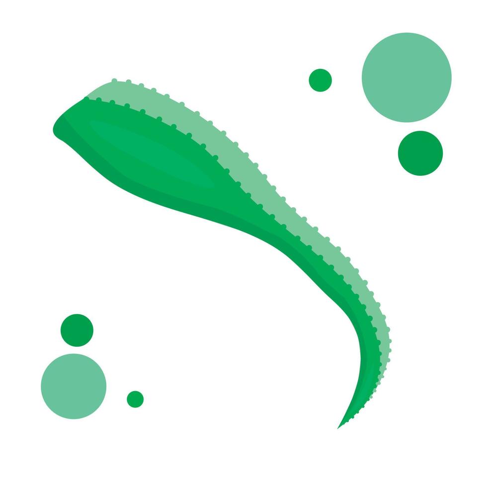 illustration vectorielle plante aloe f style doodle vecteur