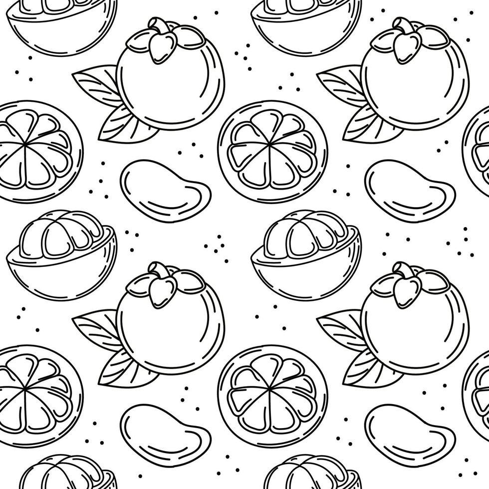 un motif harmonieux de fruits et de feuilles de mangoustan, des éléments de doodle sommaires dessinés à la main. fruits exotiques. Thaïlande. illustration vectorielle vecteur