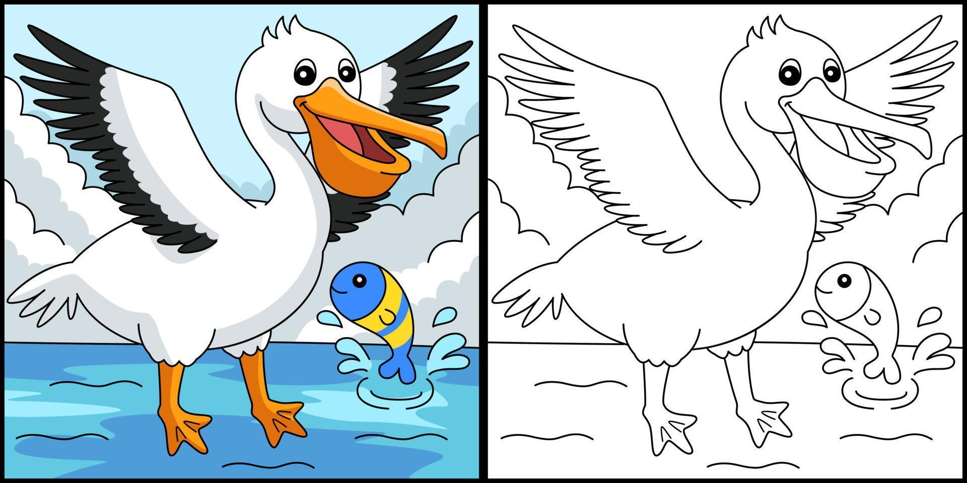 pélican animal coloriage illustration colorée vecteur