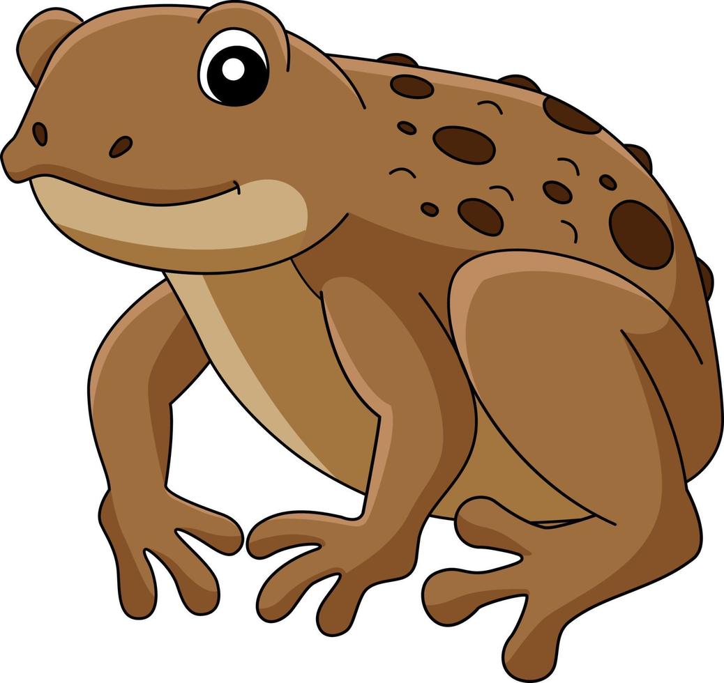 crapaud grenouille des animaux dessin animé coloré clipart vecteur