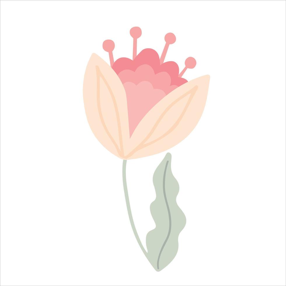 une simple plante de champ. une fleur d'une forme minimaliste simplifiée. illustration vectorielle enfantine. vecteur