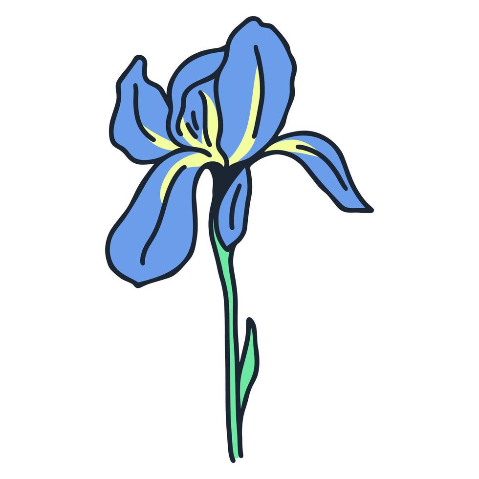 iris unique belle illustration vectorielle de fleur rustique vecteur