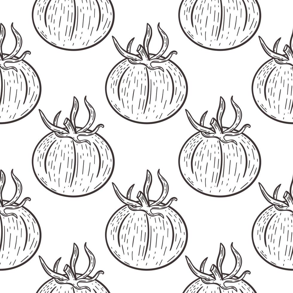 illustration vectorielle de tomates motif vintage sans couture vecteur