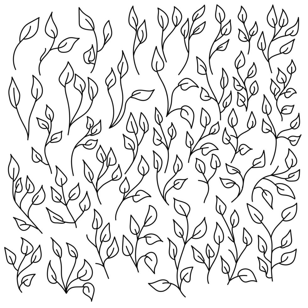 un ensemble de feuilles de griffonnage ornées sur de fines brindilles, une feuille avec une veine centrale, rassemblée en grappes et branches, des parties de plantes et d'herbes vecteur