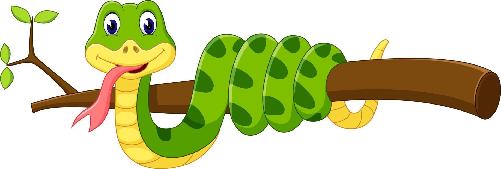 dessin animé mignon de serpent vert vecteur