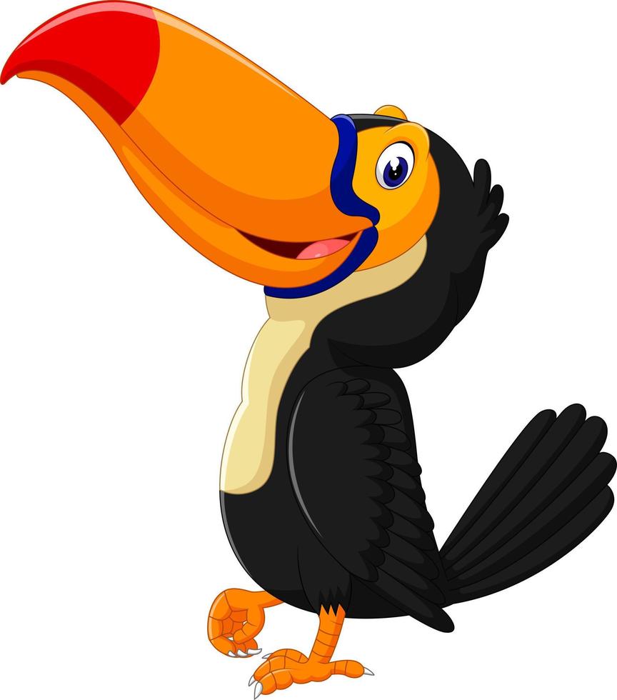 dessin animé oiseau heureux toucan vecteur