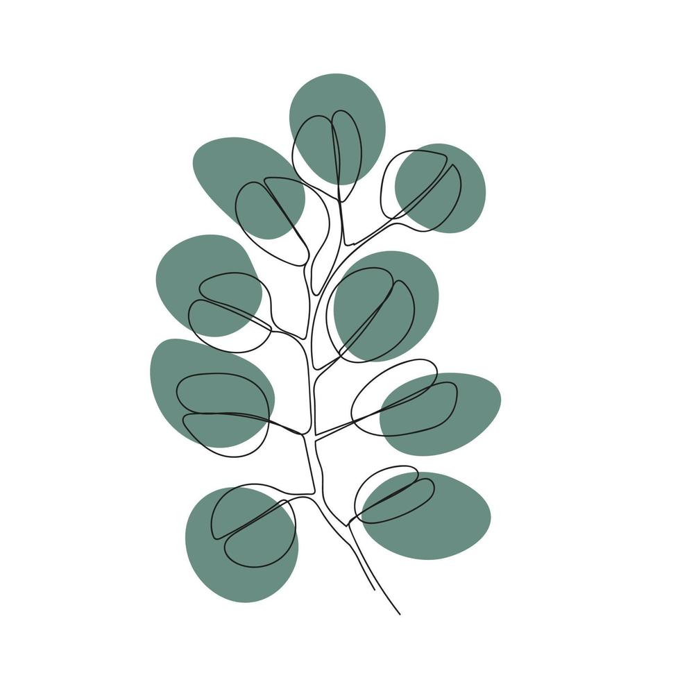 illustration minimaliste une ligne brin d'eucalyptus vecteur