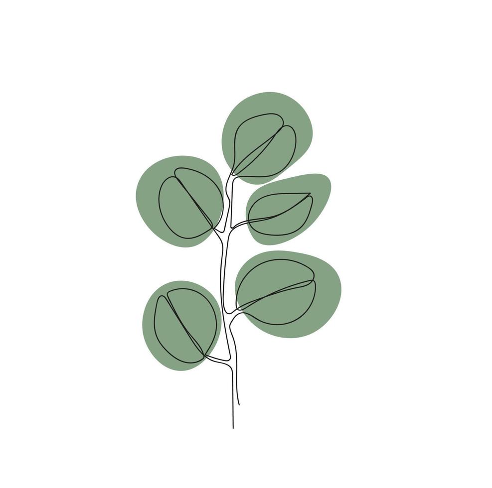 illustration minimaliste une ligne brin d'eucalyptus vecteur