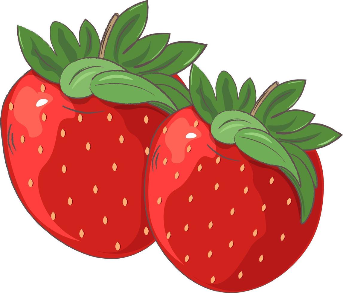 illustration d'une fraise vecteur