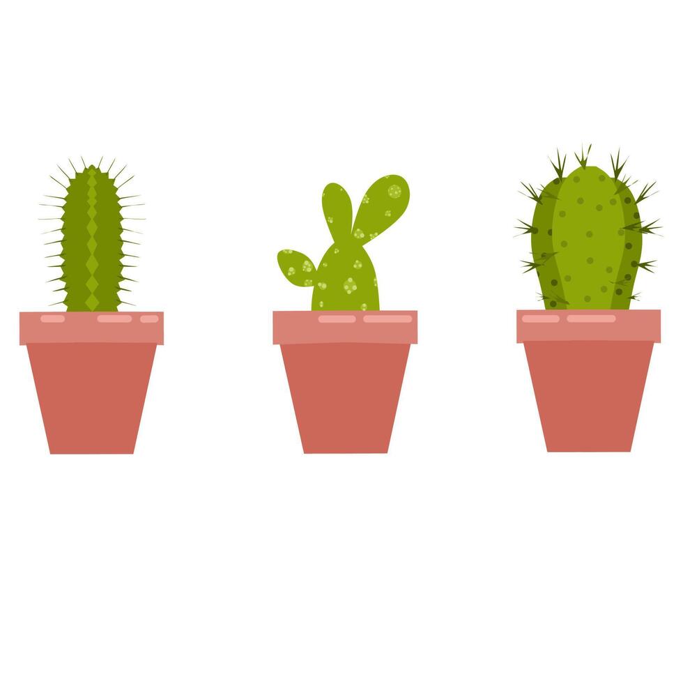 illustration vectorielle d'une plante de cactus dans un pot. trois types de plantes de cactus avec un style design plat. parfait pour les couvertures de livres et les arrière-plans de conception de logo ou d'affiche. vecteur