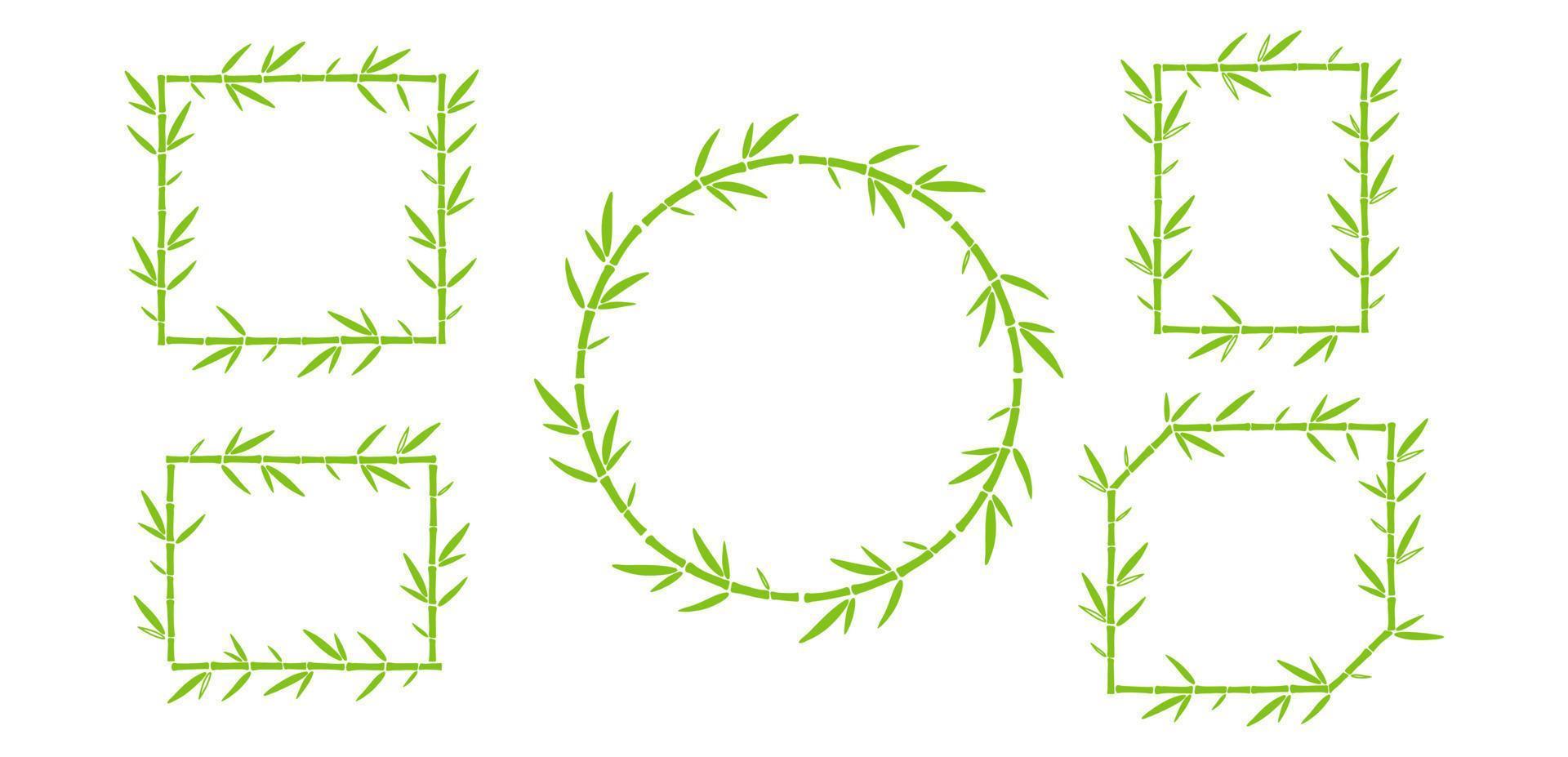 cadres verts en bambou avec ensemble de doodle de feuilles. illustration vectorielle de contour vecteur