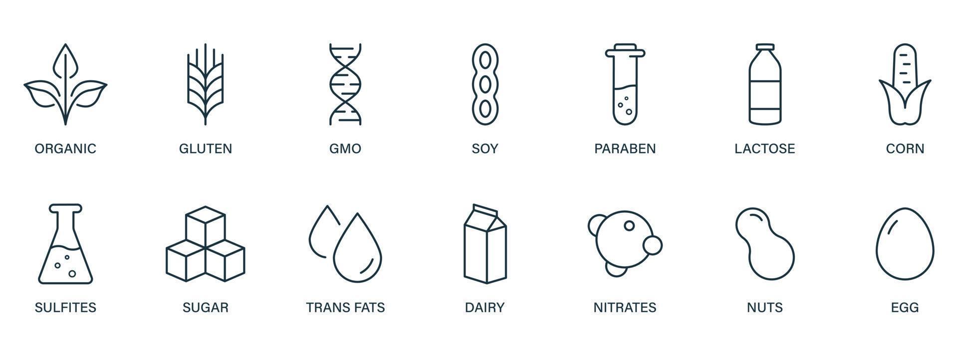 sucre, maïs, ogm, produits laitiers, nitrates, gras trans, soja, lait, œuf, parabène, gluten et noix. icône de contour de produit alimentaire végétalien. icône noire de la ligne d'ingrédients d'allergie biologique. illustration vectorielle. vecteur