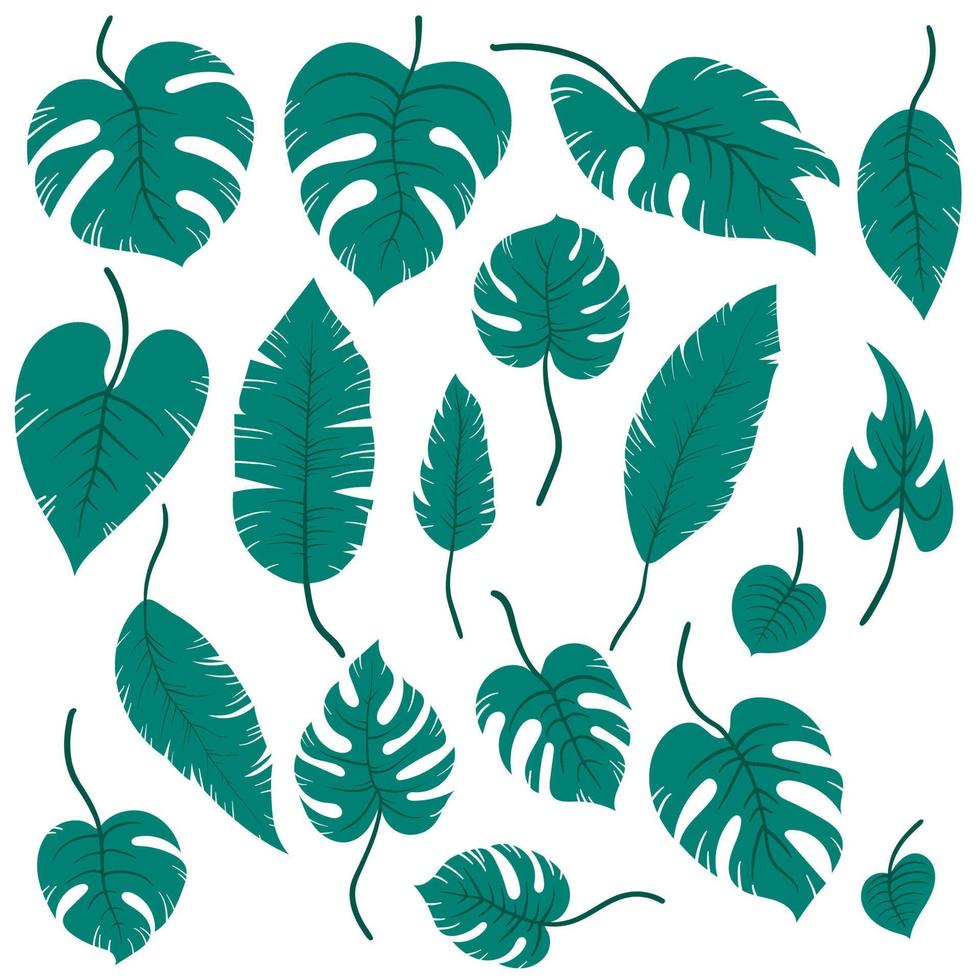 ensemble de feuilles exotiques tropicales dessinées à la main verte de différents types. plantes de la jungle. feuilles d'hibiscus, monstera et feuilles de palmier. illustration de vecteur botanique de dessin animé isolé sur fond blanc