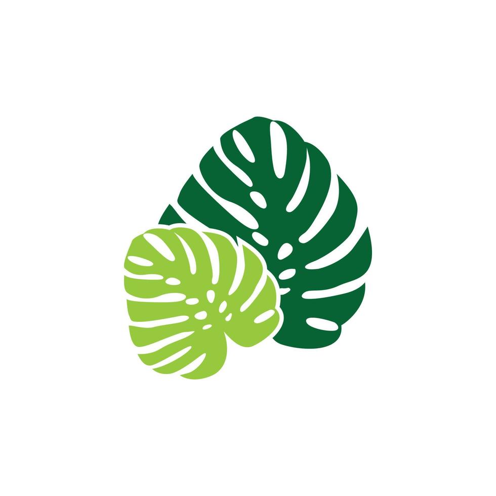 vecteur de modèle de conception d'icône de logo de feuille de monstera