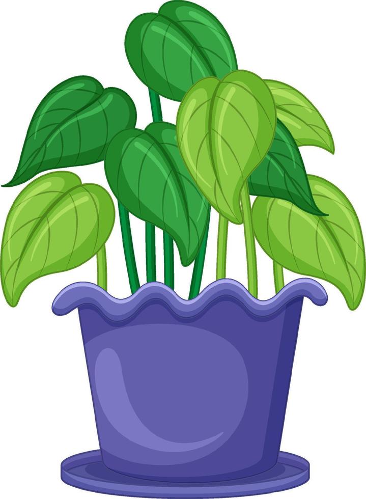 plante dans un pot en dessin animé vecteur