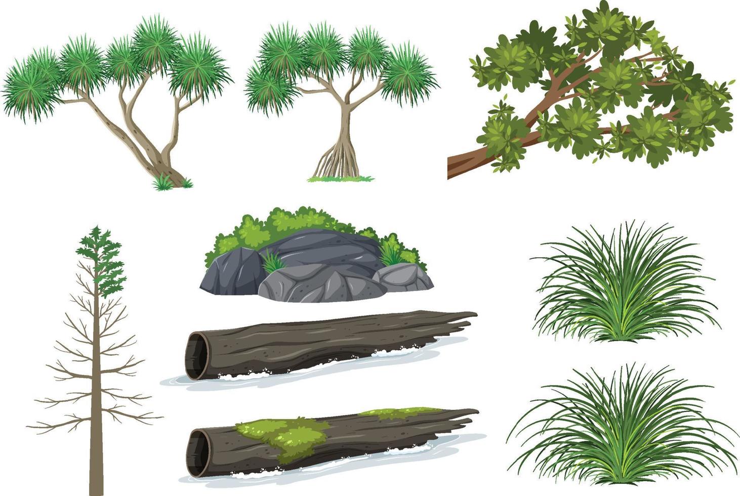 arbres isolés et ensemble d'objets de la nature vecteur