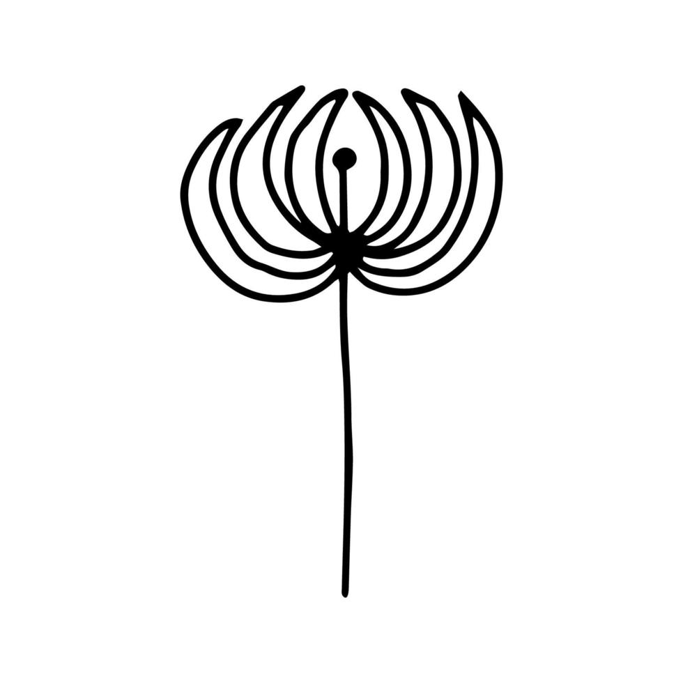 fleur dans le style doodle vecteur