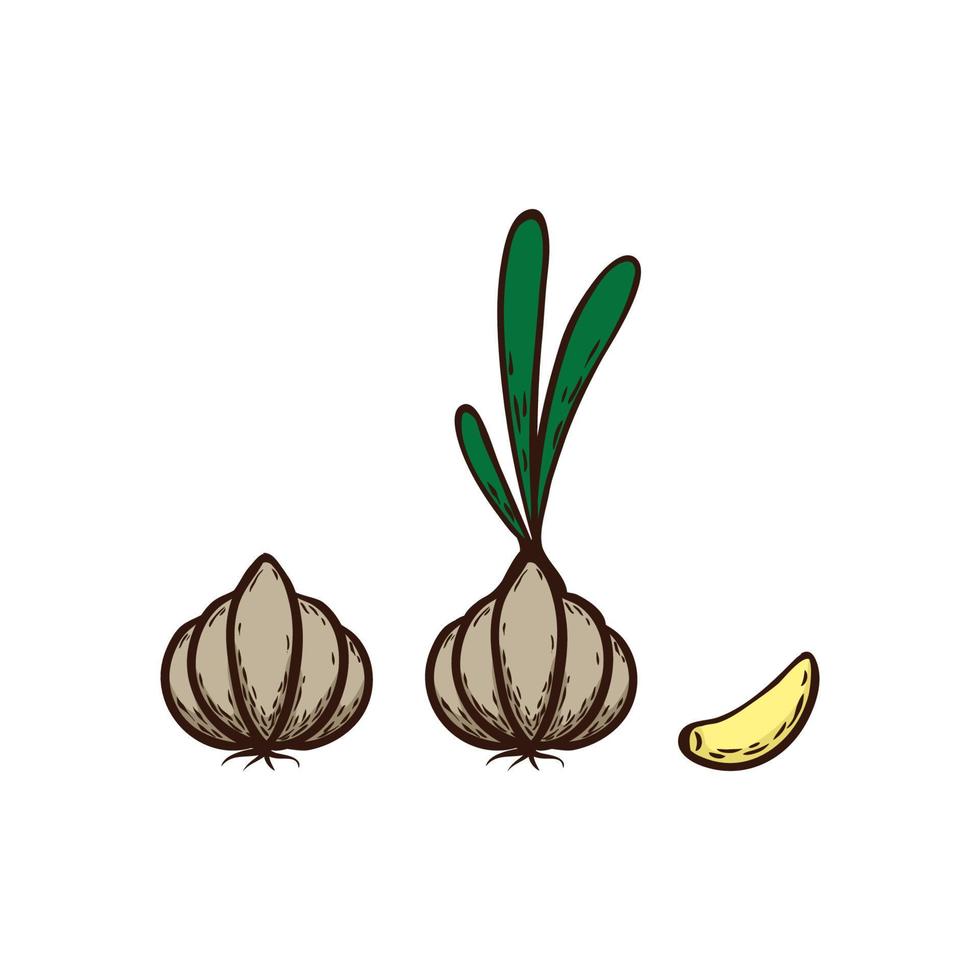 illustration vectorielle de légumes oignon dessinés à la main vecteur