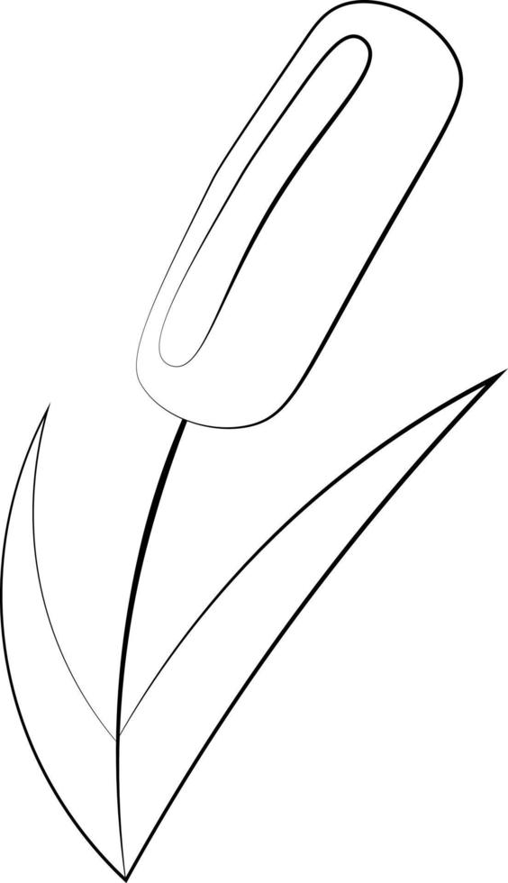 roseau à élément unique. dessiner une illustration en noir et blanc vecteur