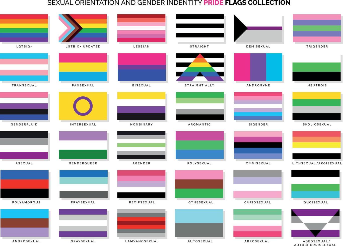 drapeaux d'orientation sexuelle et d'identité de genre vecteur