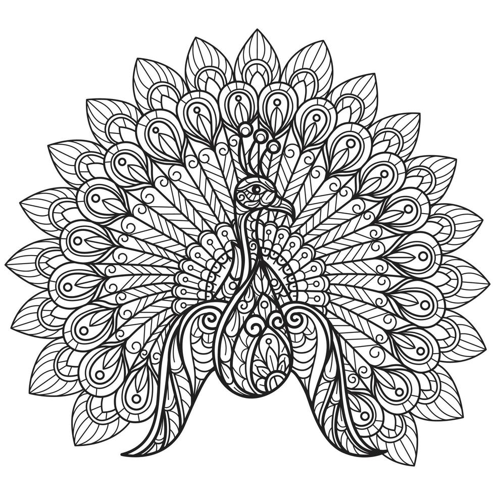 joli paon dessiné à la main pour livre de coloriage adulte vecteur
