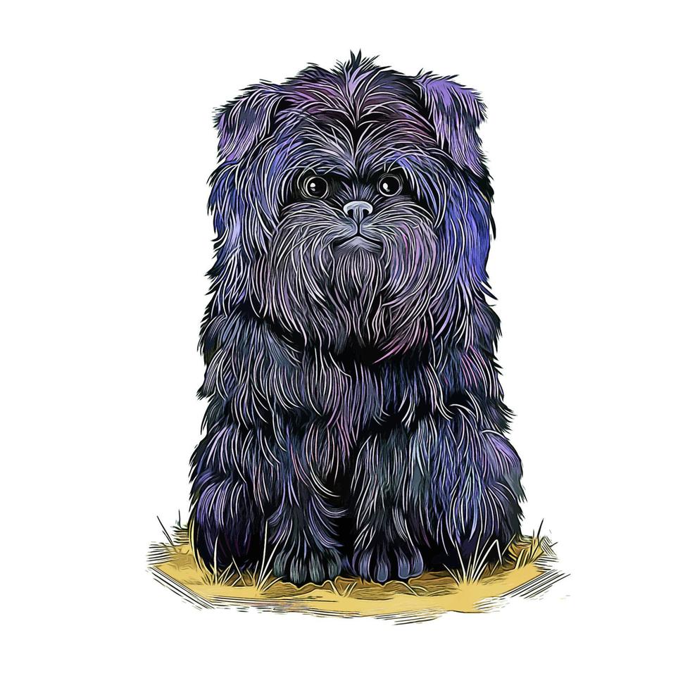 affenpinscher chien aquarelle croquis dessinés à la main peinture dessin illustration vecteur