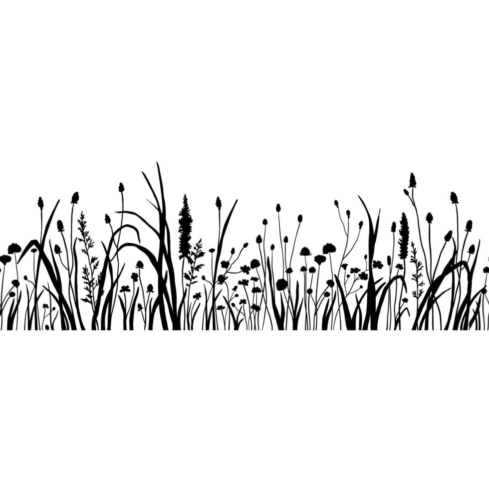 bordure transparente avec herbe de fleurs sauvages silhouette. illustration vectorielle dessinée à la main noire avec des fleurs d'été. ombre d'herbe et de plante. champ de nature isolé sur blanc vecteur