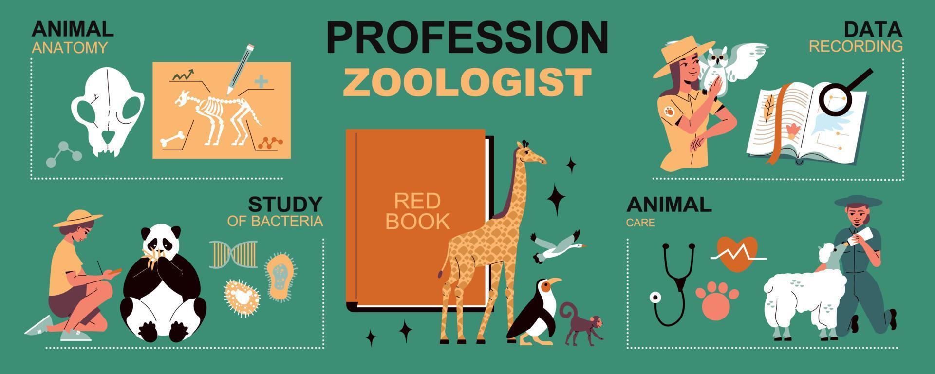 mise en page de l'infographie de la profession de zoologiste vecteur