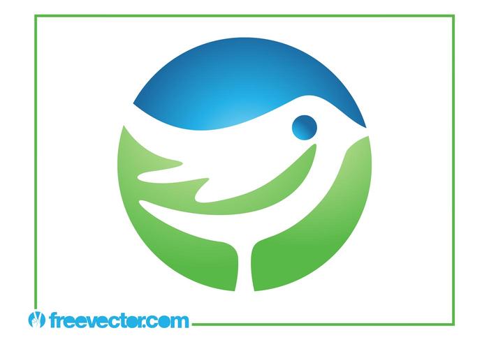 Modèle de logo d'oiseau vecteur