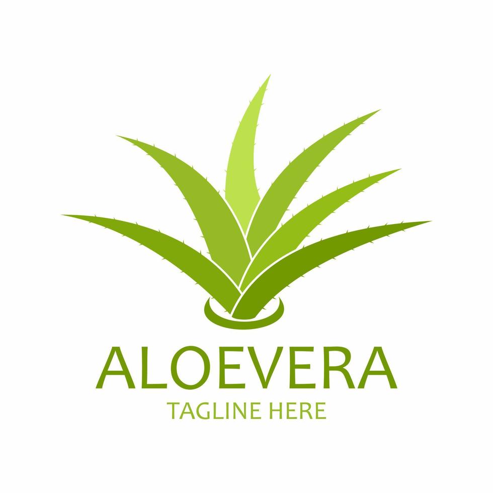 logo icône vecteur aloevera